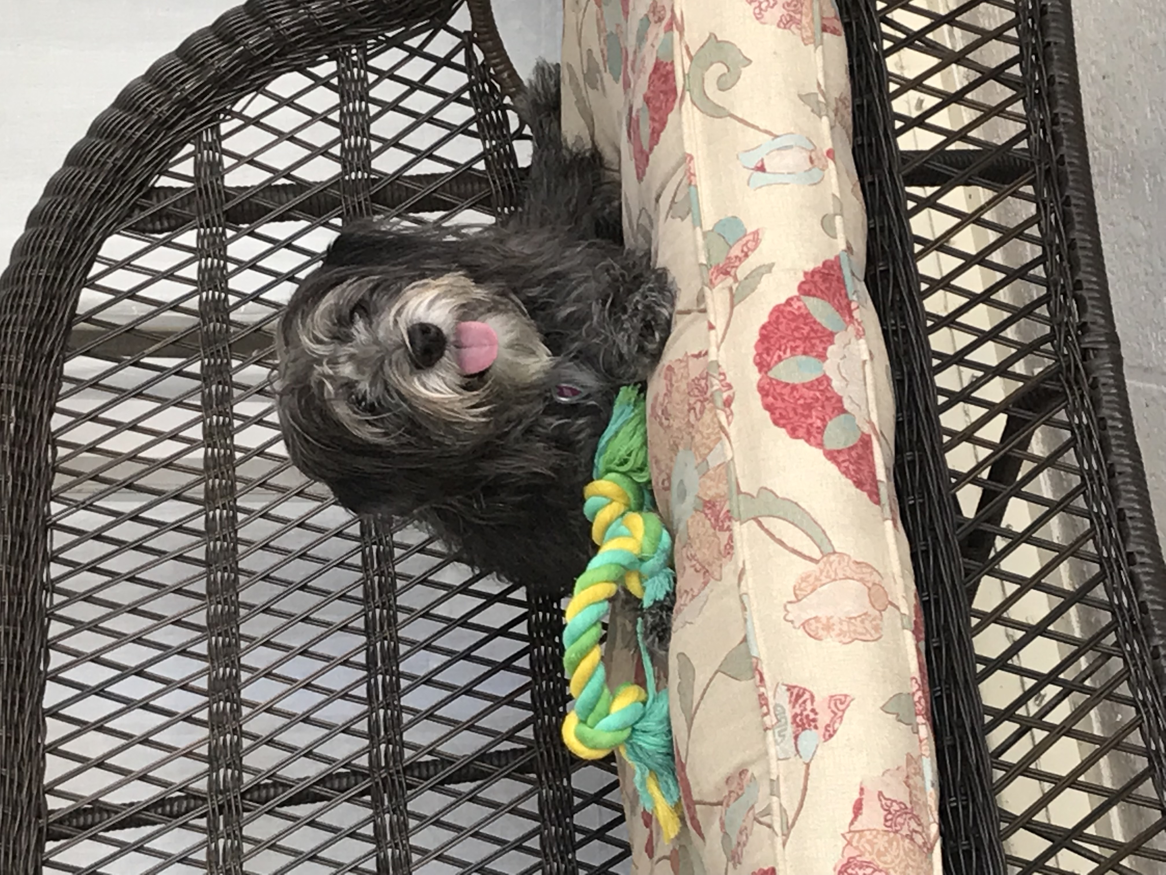 ./2018/13 - Miami/IMG_7919.JPG